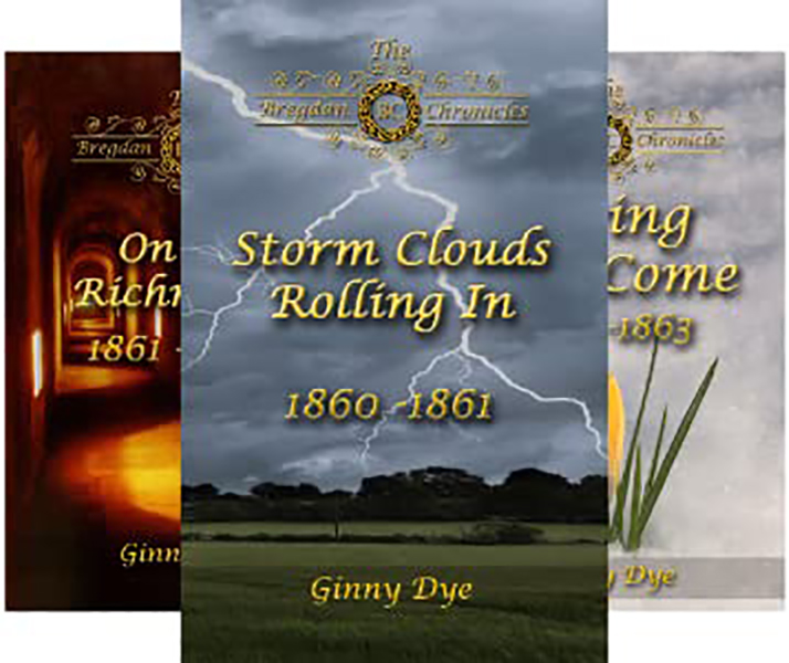 bregdan chronicles book series