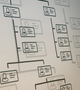 close up view of a company organization chart on a whiteboard