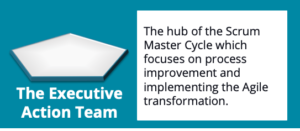 Executive MetaScrum Explainer Box