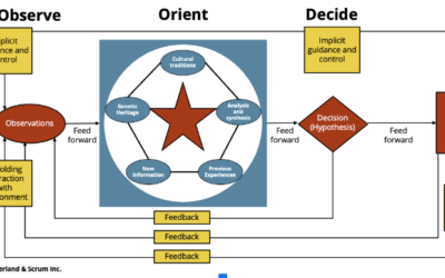 Leaders Leveraging the OODA Loop for Value Stream Management