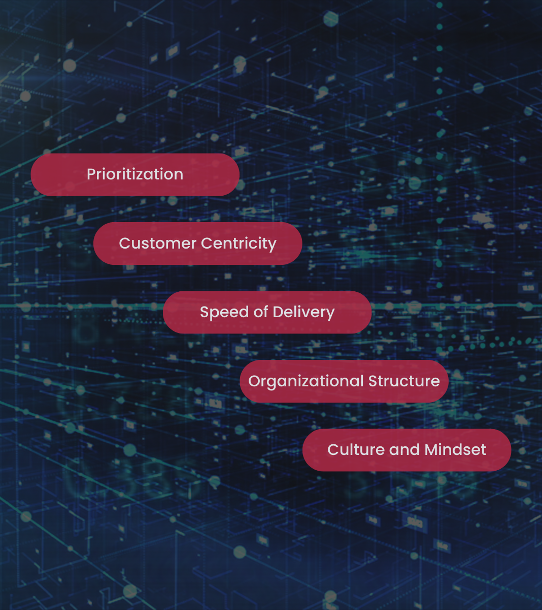 Agility Assessment for Enterprises | Scrum Inc.
