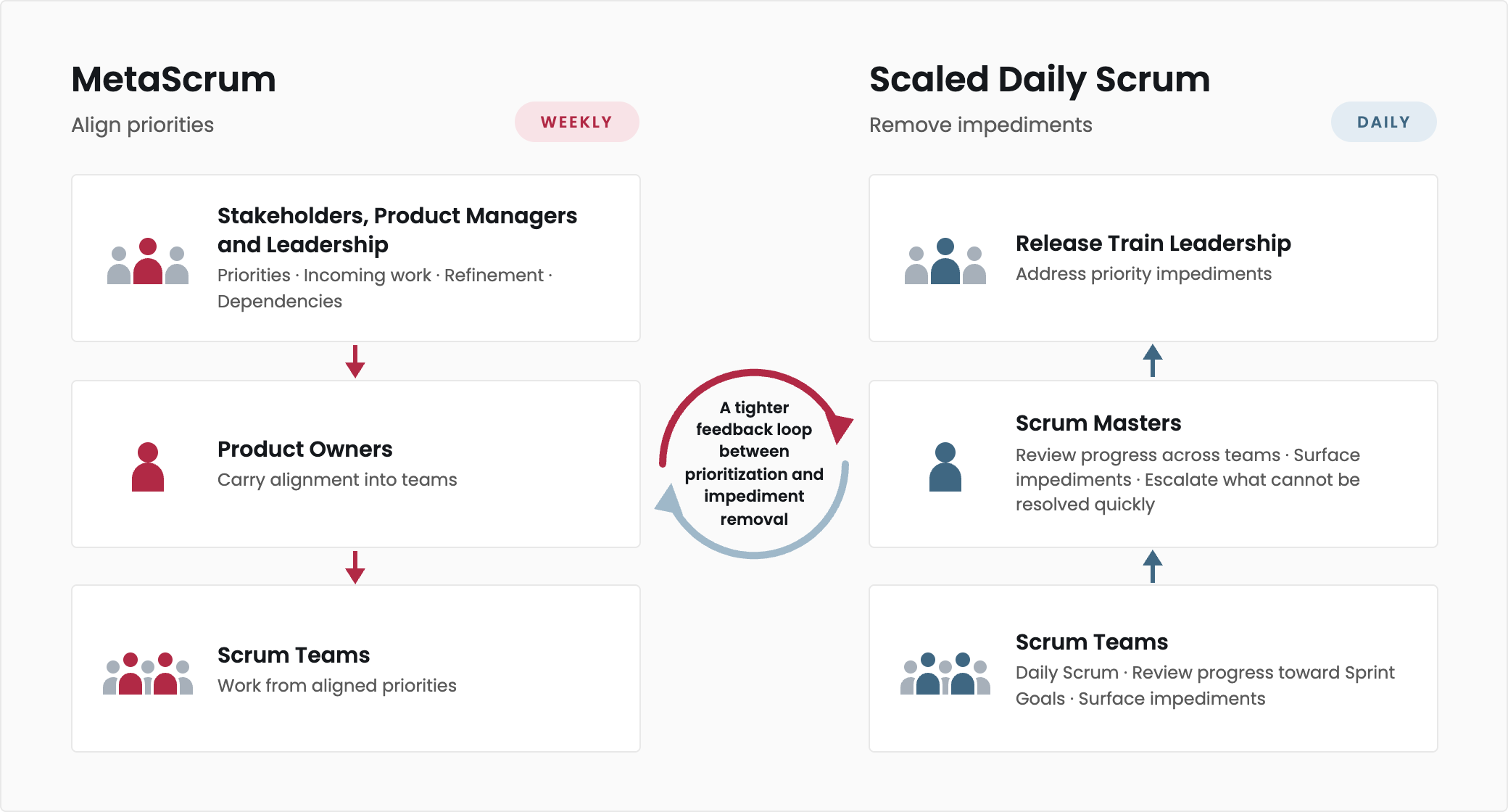 MetaScrum aligned priorities weekly from stakeholders and leadership through Product Owners to Scrum Teams, while the daily Scaled Daily Scrum surfaced team impediments through Scrum Masters to Release Train Leadership for resolution.